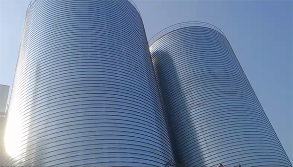 嵩县2座混凝土高架卷板仓